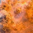 There is Life in Fire