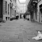 Mantova