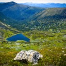 Lake Heart