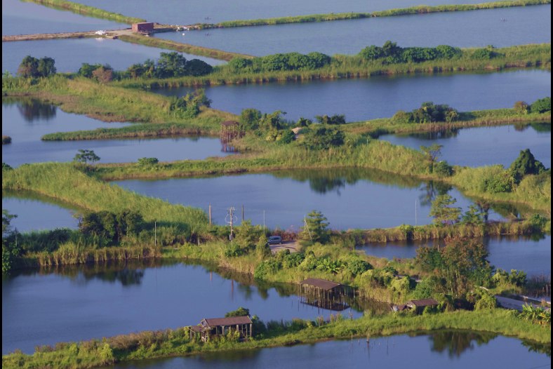 The view of Mei Po wetland in Hong Kong