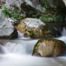 Torrente Sentino