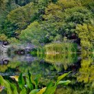 Lake Fulmor