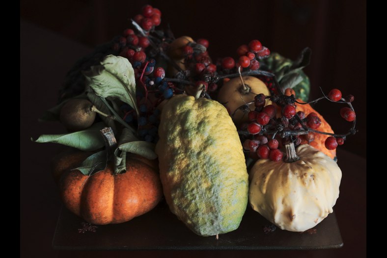 Autumnal Composition