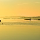 Winter Clarity