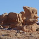 Desert Sphinx
