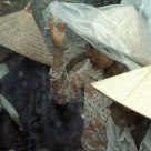sous la pluie