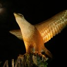 Statue of Eagle and The Moon