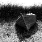 The Old Servant