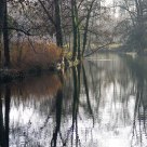 Reflets