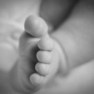 newborn