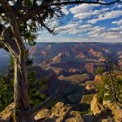 A Grand view of the Canyon