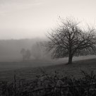 Winter landscape