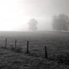 Campaign in winter