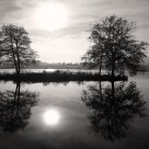 Lake and Fog