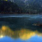 Reflection