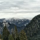 Grouse Mountain
