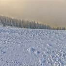 Winter in the Carpathians