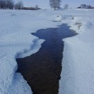 Beautiful winter