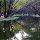 Park