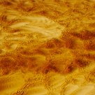 Patterns in Tannin