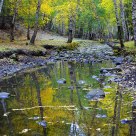 Beautiful inverted image in autumn