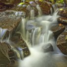 Agua