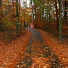 Empty Road