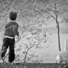 The Goose Chase
