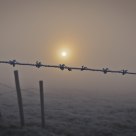 behind the fence is  freedom