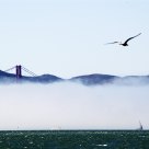 The Golden Gate Bridge