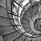 Stair Shell Spirals