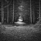 The road