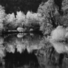 The river