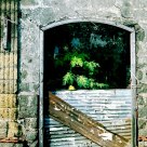 Nature Indoors