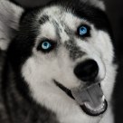 Eyes Wide Open