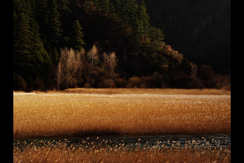 Riverside