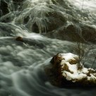Stream