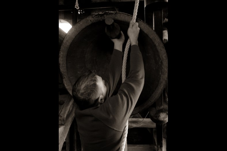Bell-ringer Bologna