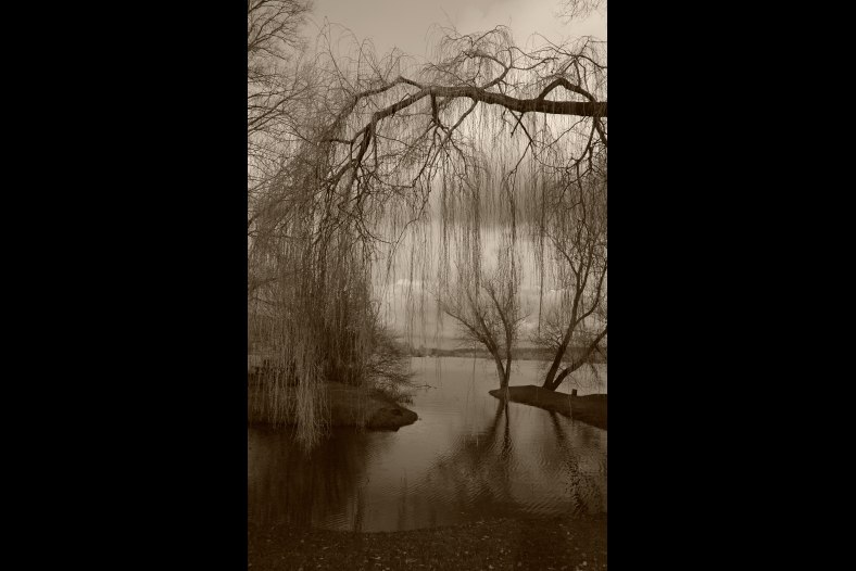 quiet