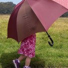 Big umbrella