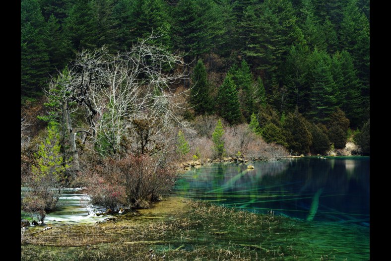 Lakeside
