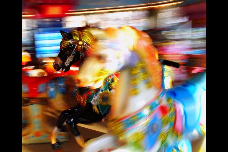 Horses