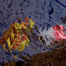 Reflexes of flags after raining