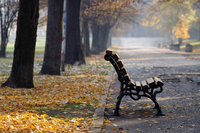 The bench