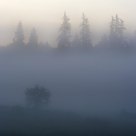 Early Morning.