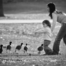 Discoveries at the Park