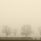 Winter mist