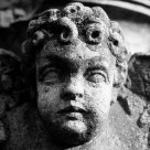 Janus-faced angel