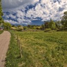 Spring Field