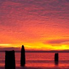 Golden Gardens Sunset III